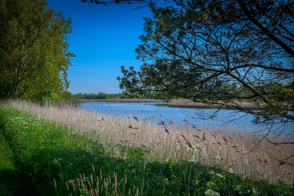 2016-Zeeland-St-Maartendijk-2223.jpg